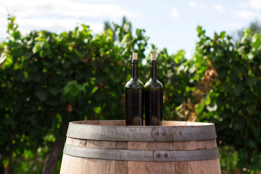 Alla scoperta del Sangiovese, vitigno più diffuso in Italia
