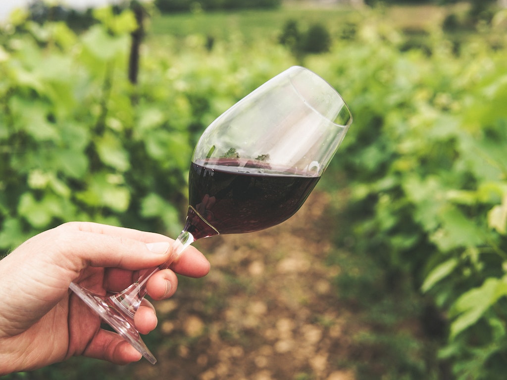 Esame visivo del vino: il primo passo della guida per imparare a degustare il vino