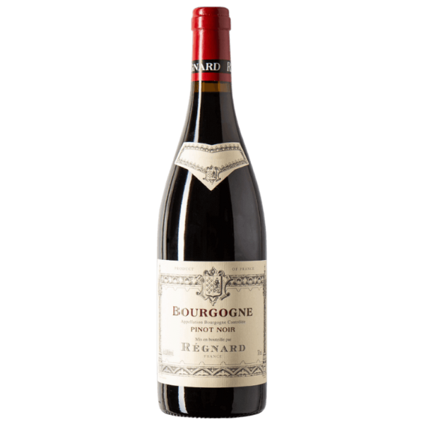 Retour des Pinot Berevecchio - AOC - Régnard Flandres 2022 Bourgogne Noir
