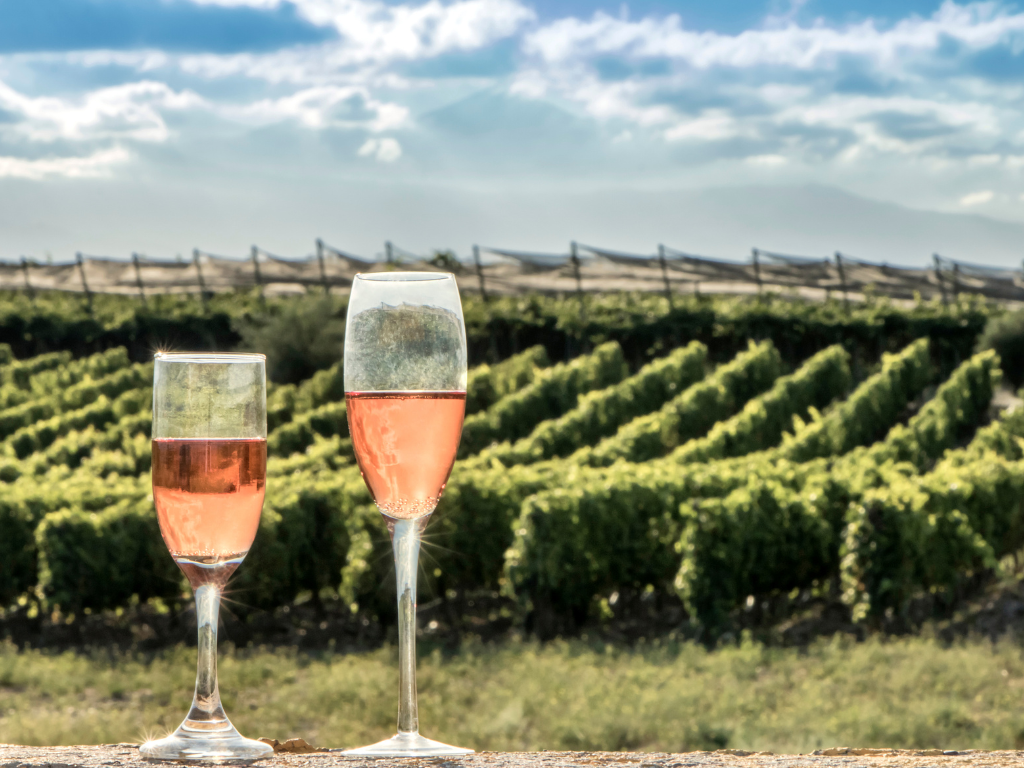 Rosé de Saignée vs Rosé d’Assemblage differenze nei rosati di Champagne