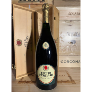 Giulio Ferrari Vintage 1992 Magnum 1.5Litri Ferrari - Aste