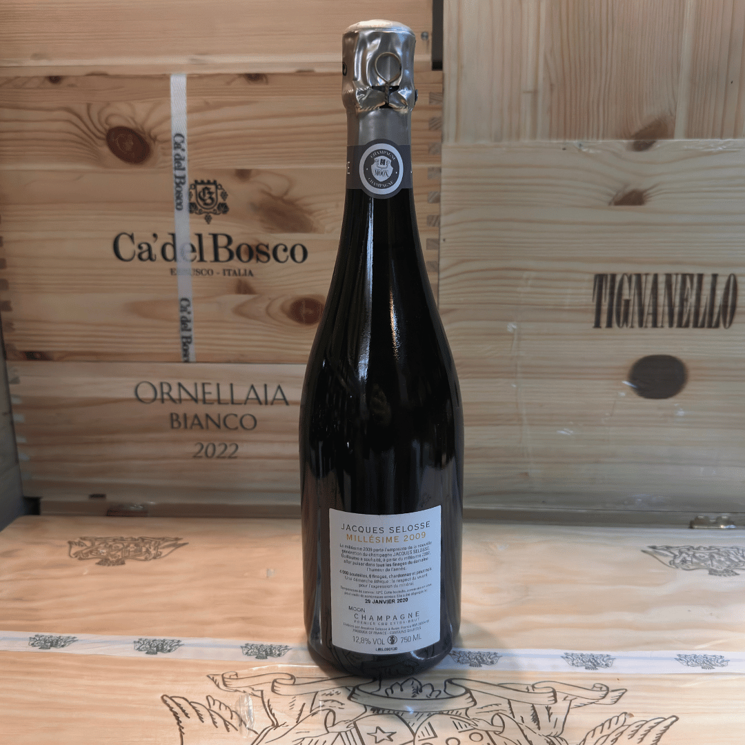 Selosse 2009 - immagine 2