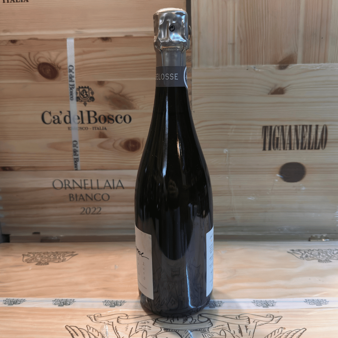 Selosse 2009 - immagine 3