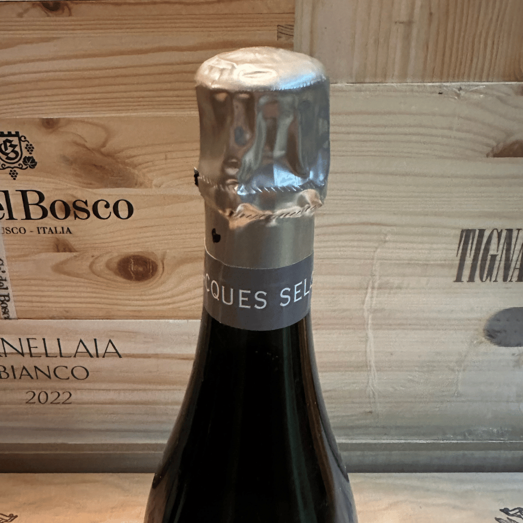 Selosse 2009 - immagine 4