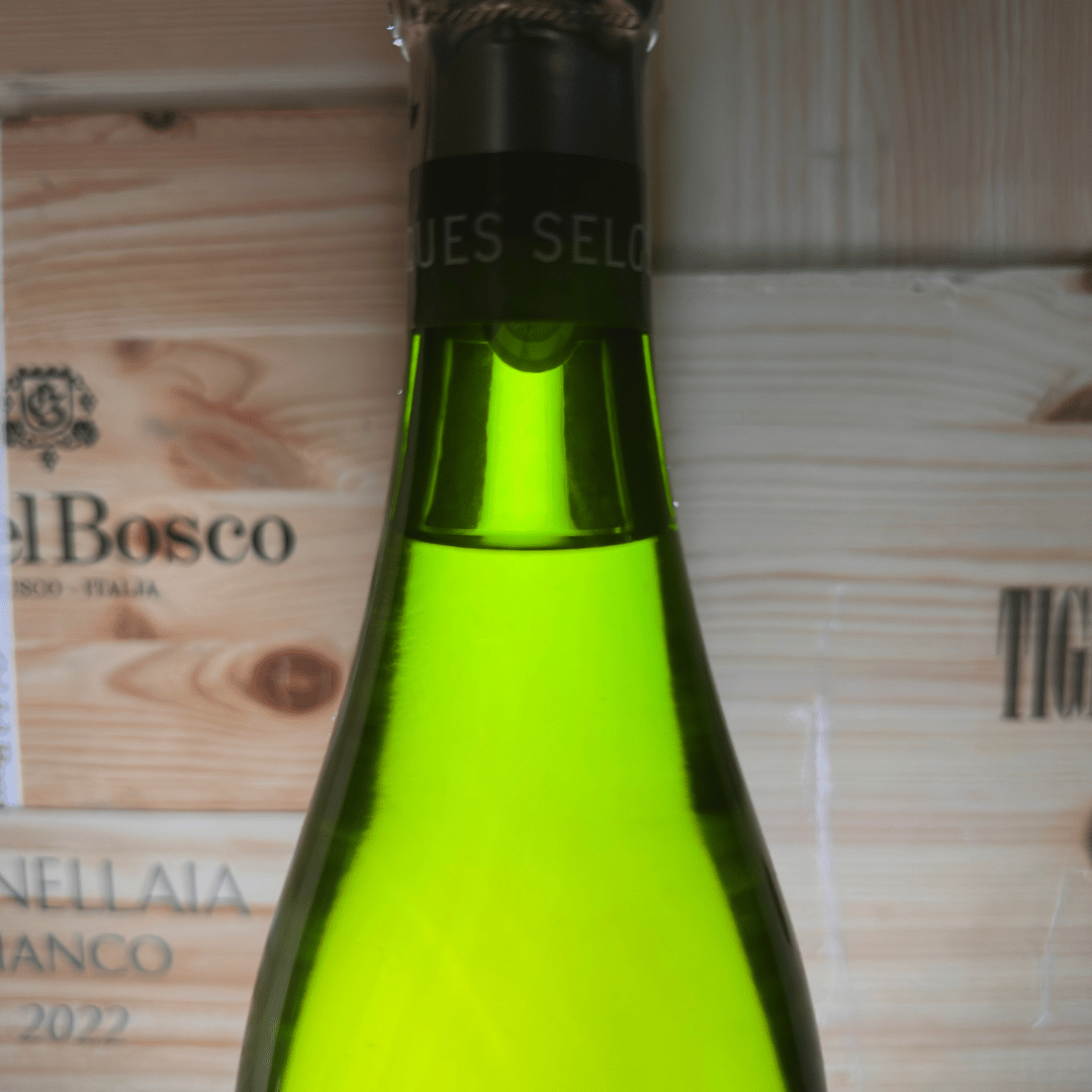 Selosse 2009 - immagine 5