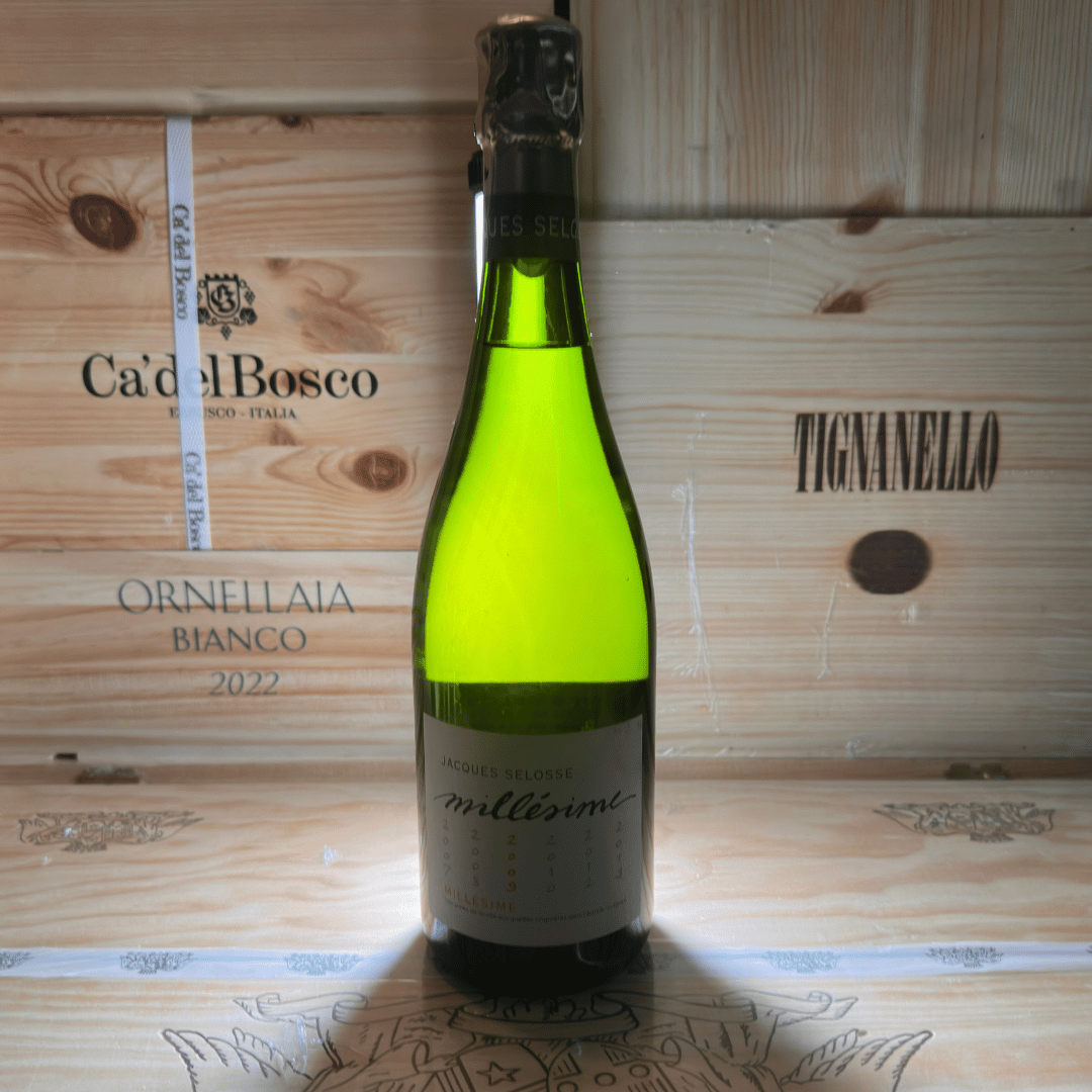 Selosse 2009 - immagine 6